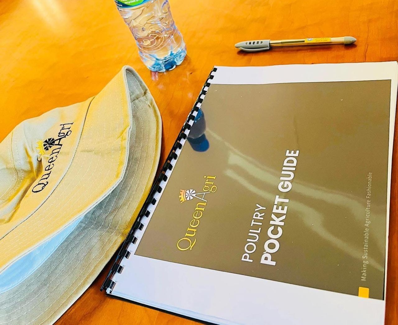 Business Plan Development